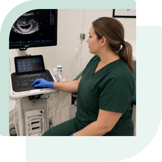 ultrasound pregnancy testing services caro bad axe michigan